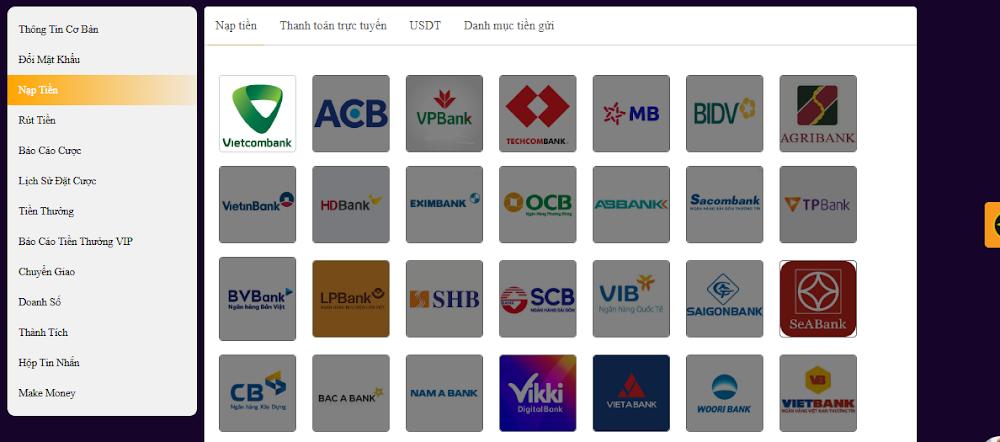 Điều kiện nạp tiền Vnz6